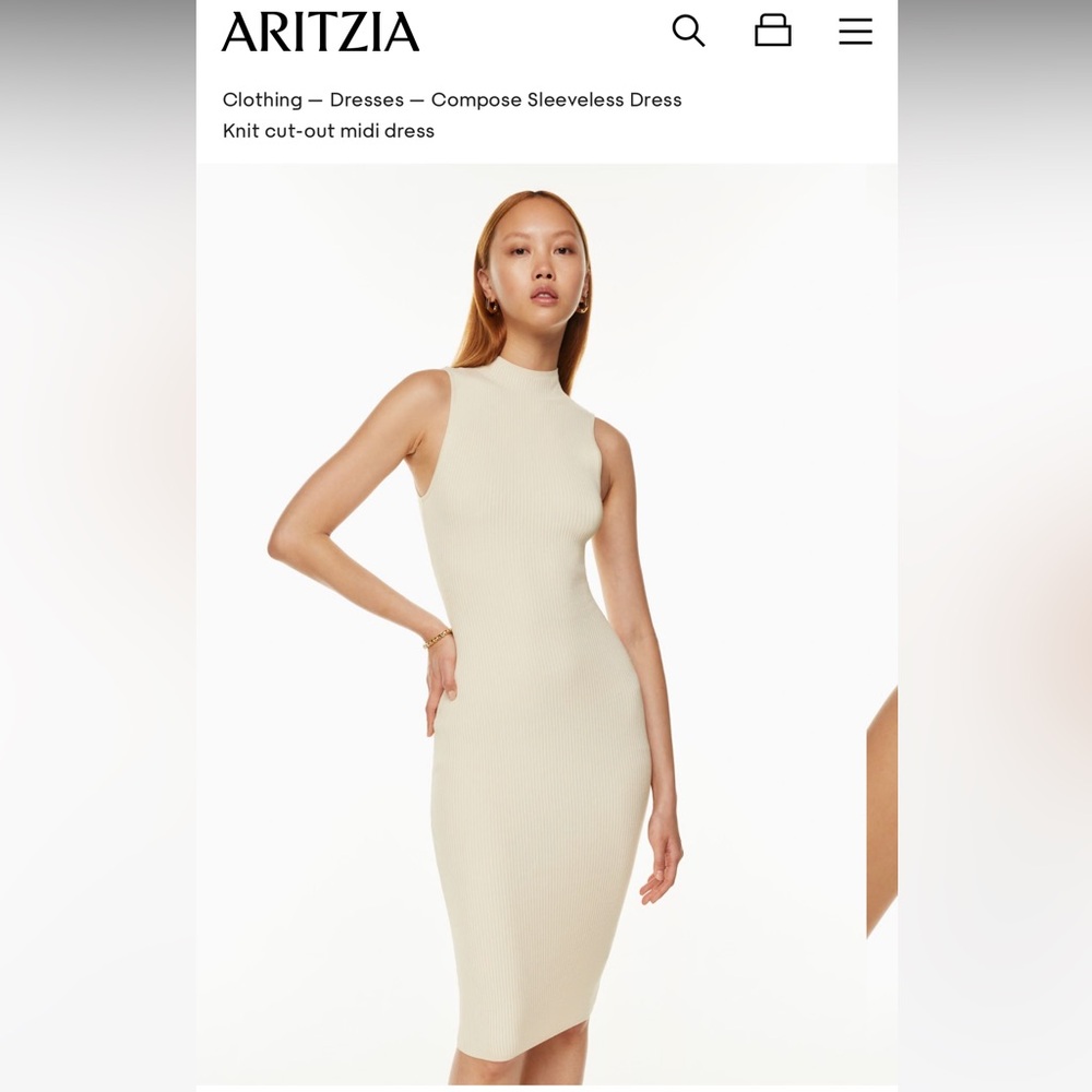 🤎 Aritzia Babaton Compose Sleeveless Dress
